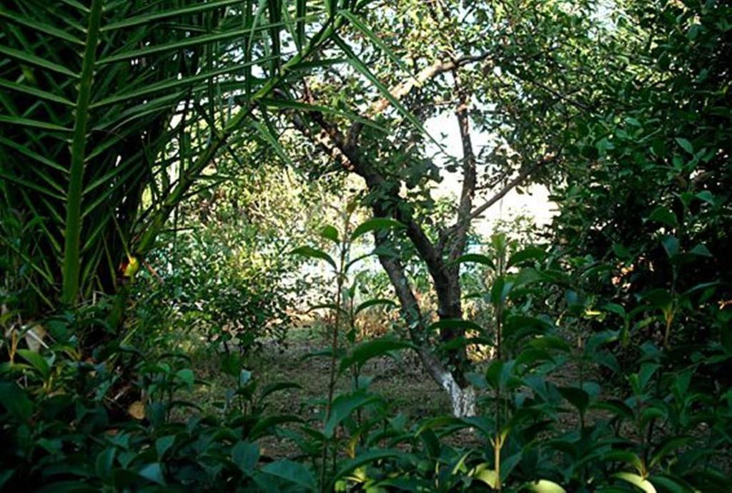 Agali Beach Pansion Mármaron Extérieur photo